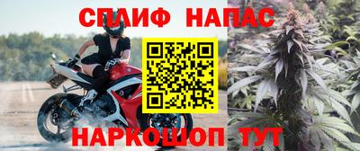 стафф Братск