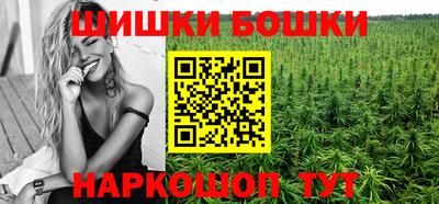 стафф Братск