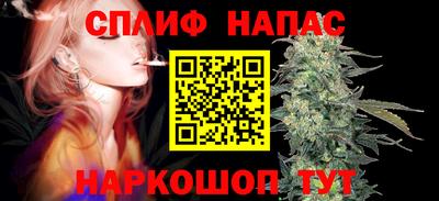 стафф Братск