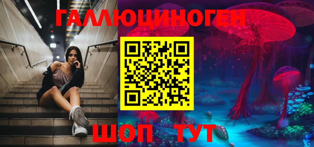 Псилоцибиновые грибы Cubensis  Вход с VPN  Орёл  Псилоцибиновые грибы Cubensis 