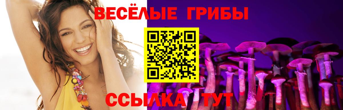 Псилоцибиновые грибы мицелий Орёл